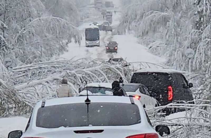 Жители Московской области остались без электричества и связи в результате майского циклона